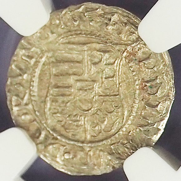 【コインビギナー要CHECK‼】ハンガリー ディナール銀貨 フェルディナント1世 マドンナ 1554 MS62