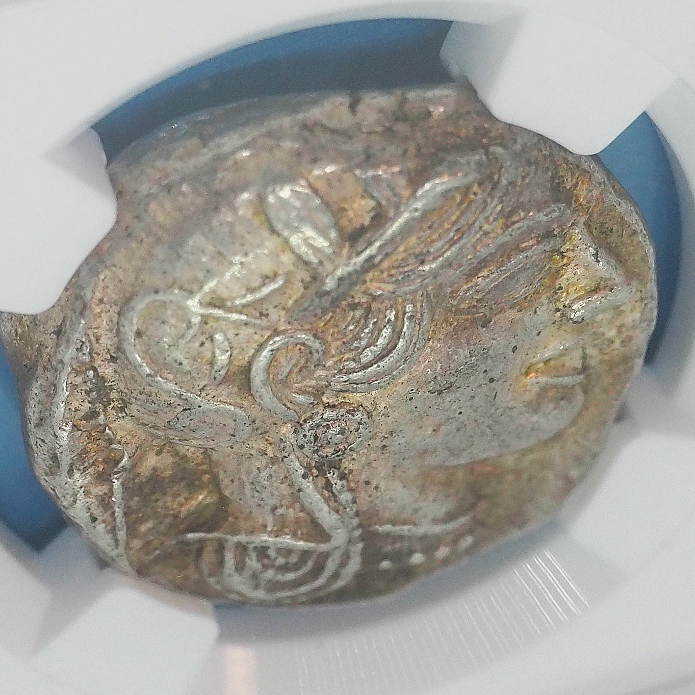 ðã®ãªã·ã£ ããã©ã»ãã©ã¯ãé貚 女ç¥ã¢ãã èé³¥ãã¯ã㊠c.440-404BC é«éå®AUãã«ã«ãŠã³ã5/5ã»5/5 ïŒïŒ®ïŒ§ïŒ£ïŒ