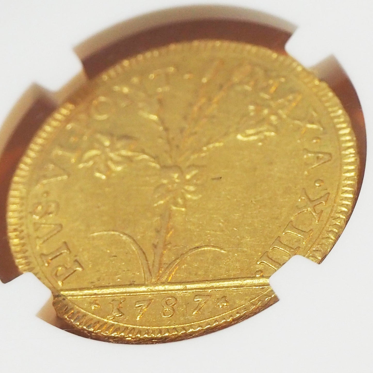 イタリア ２ドッピア金貨 ボローニャ ピウス６世 1787 最高鑑定１枚 MS62（ NGC ）
